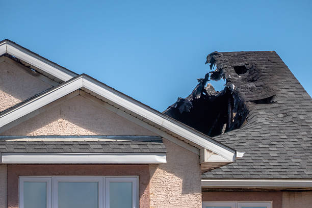 Top rated local Board Up Services specialists in Victoria, MN
